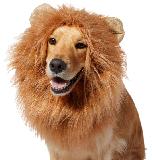 Frisco Lion Mane costume
