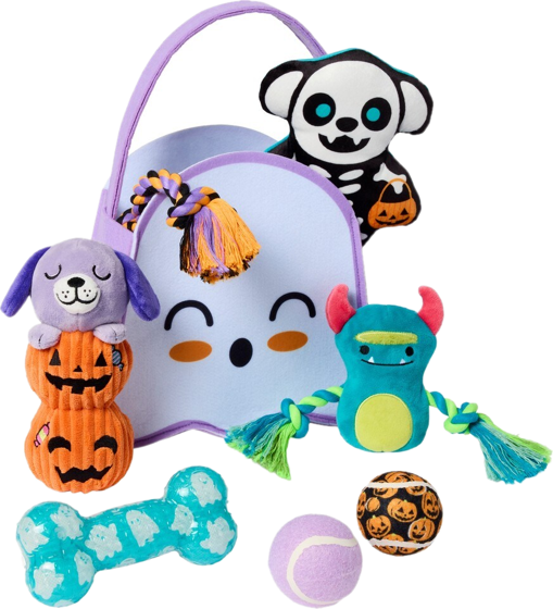 Frisco Halloween ghost boo basket