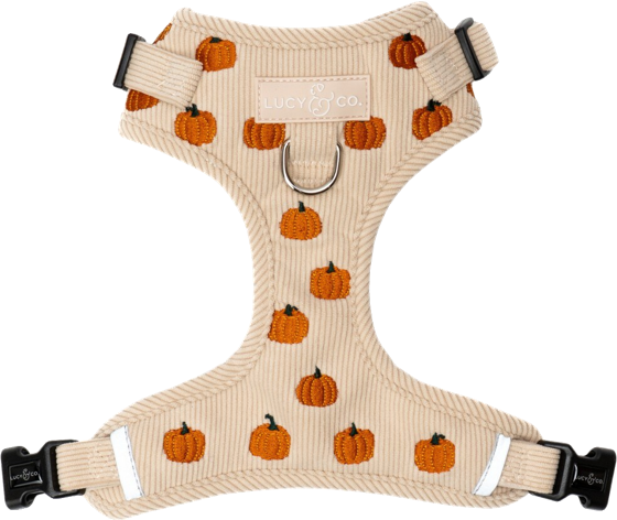Lucy & Co. Oh My Gourd no-pull harness