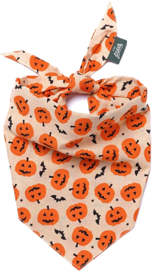 PAWS Pumpkin bandana